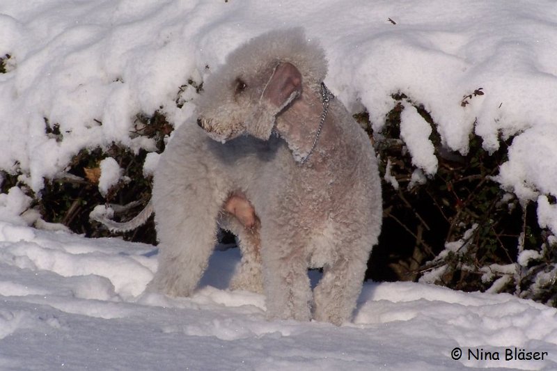 Svet 2008-01-05 (9).JPG